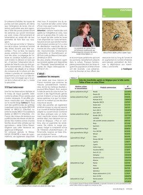 Lutter contre l’altise d’hiver requiert un suivi minutieux de la culture et de l’insecte Lutter contre l’altise d’hiver requiert un suivi minutieux de la culture et de l’insecte