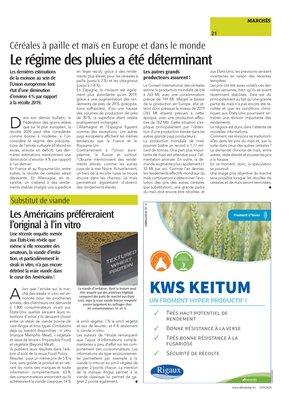 Les Américains préféreraient l’original à l’in vitro Les Américains préféreraient l’original à l’in vitro