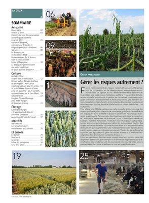 Actualité Actualité