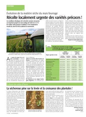 La sécheresse pèse sur la levée et la croissance des plantules! La sécheresse pèse sur la levée et la croissance des plantules!