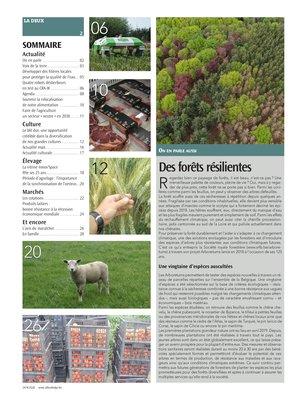 Des forêts résilientes Des forêts résilientes