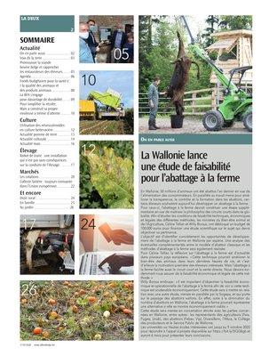 Actualité Actualité