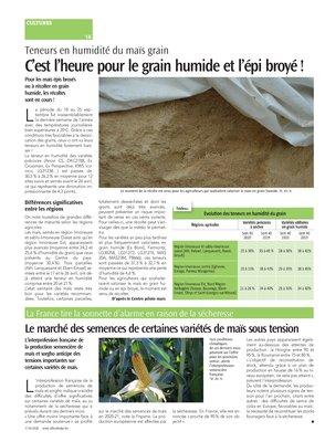 Le marché des semences de certaines variétés de maïs sous tension Le marché des semences de certaines variétés de maïs sous tension