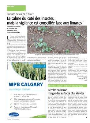 Le calme du côté des insectes,mais la vigilance est conseillée face aux limaces! Le calme du côté des insectes,mais la vigilance est conseillée face aux limaces!
