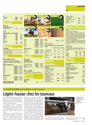 Légère hausse chez les taureaux Légère hausse chez les taureaux