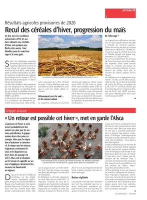 Recul des céréales d’hiver, progression du maïs Recul des céréales d’hiver, progression du maïs