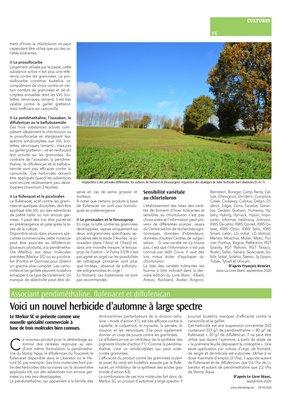 Les clés pour le désherbage automnal des céréales Les clés pour le désherbage automnal des céréales