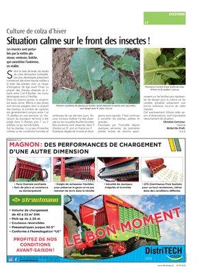 Situation calme sur le front des insectes! Situation calme sur le front des insectes!
