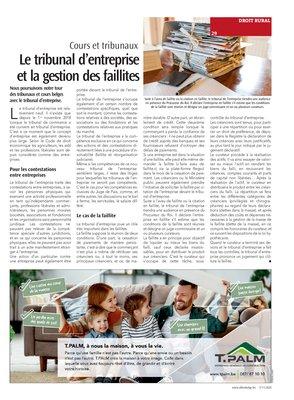 Le tribunal d’entreprise et la gestion des faillites