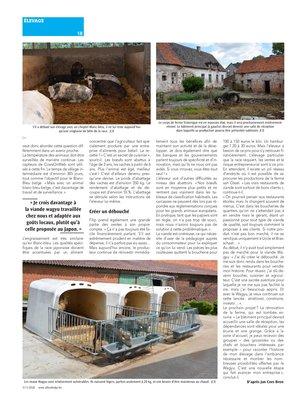 Un créneau particulierpour privilégierla qualité à la quantité Un créneau particulierpour privilégierla qualité à la quantité