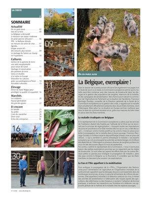 Actualité Actualité