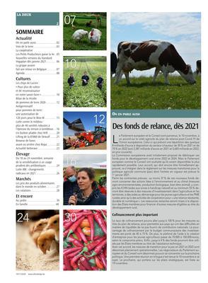 Actualité Actualité