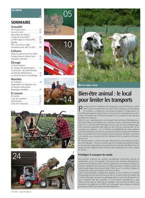 Actualité Actualité