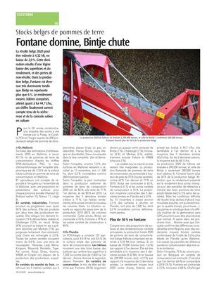 Fontane domine, Bintje chute Fontane domine, Bintje chute