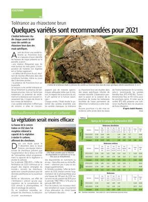 La végétation serait moins efficace La végétation serait moins efficace