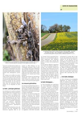 Les sclérotinioses méritent une grande attention Les sclérotinioses méritent une grande attention