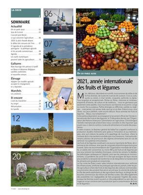 2021, année internationale des fruits et légumes 2021, année internationale des fruits et légumes