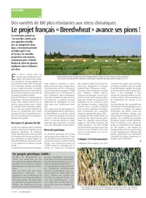 Un progrès génétique visible! Un progrès génétique visible!