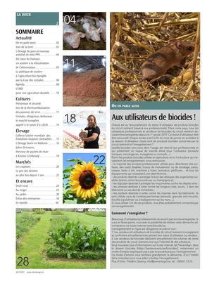 Actualité Actualité