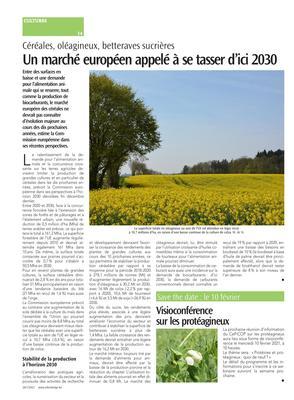 Un marché européen appelé à se tasser d’ici 2030 Un marché européen appelé à se tasser d’ici 2030