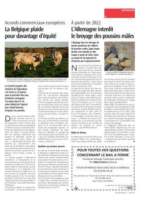 L’Allemagne interdit le broyage des poussins mâles L’Allemagne interdit le broyage des poussins mâles