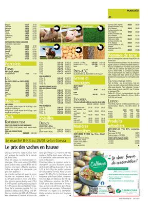 Le prix des vaches en hausse