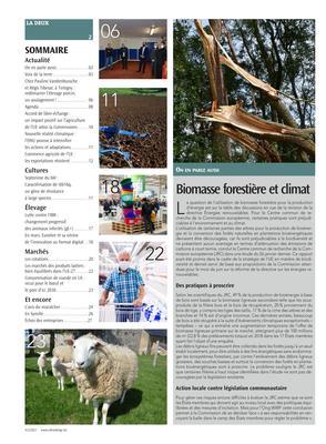 Actualité Actualité