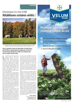 Rétablissons certaines vérités ! Rétablissons certaines vérités !