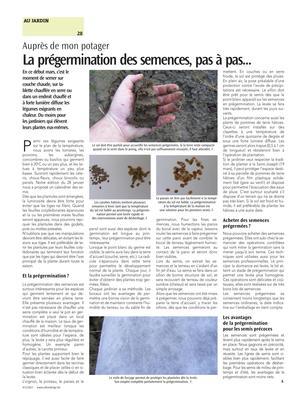 La prégermination des semences, pas à pas... La prégermination des semences, pas à pas...