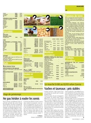 Vaches et taureaux: prix stables Vaches et taureaux: prix stables