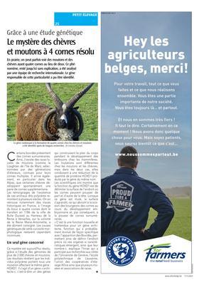 Le mystère des chèvreset moutons à 4 cornes résolu Le mystère des chèvreset moutons à 4 cornes résolu