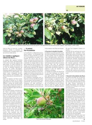 Mes arbres fruitiers ne produisent pas…Pourquoi? Comment y remédier? Mes arbres fruitiers ne produisent pas…Pourquoi? Comment y remédier?