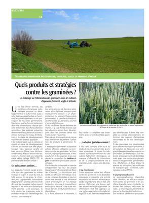 Quels produits et stratégiescontre les graminées? Quels produits et stratégiescontre les graminées?