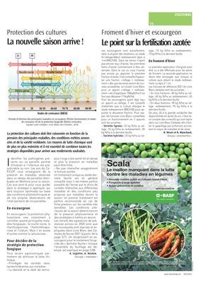 Le point sur la fertilisation azotée Le point sur la fertilisation azotée