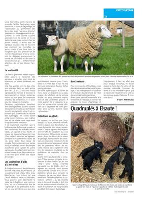 Préparer les brebis pour la fin des agnelages Préparer les brebis pour la fin des agnelages