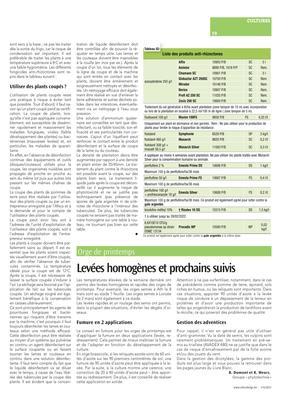 Plants de pomme de terre:garantir un bon démarrage de la culture Plants de pomme de terre:garantir un bon démarrage de la culture