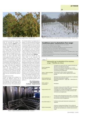 Conditions pour la plantation d’un verger Conditions pour la plantation d’un verger