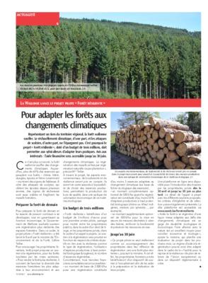 Pour adapter les forêts aux changements climatiques Pour adapter les forêts aux changements climatiques