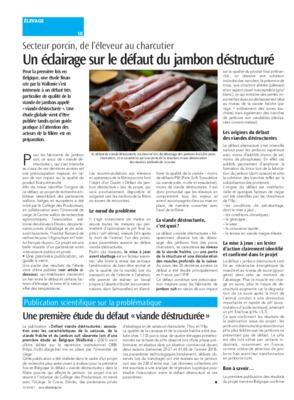 Une première étude du défaut «viande déstructurée» Une première étude du défaut «viande déstructurée»