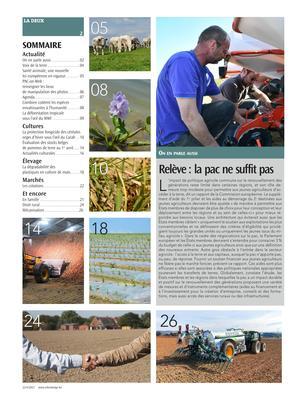 Actualité Actualité