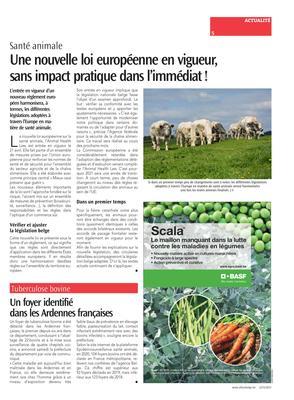 Une nouvelle loi européenne en vigueur,sans impact pratique dans l’immédiat! Une nouvelle loi européenne en vigueur,sans impact pratique dans l’immédiat!