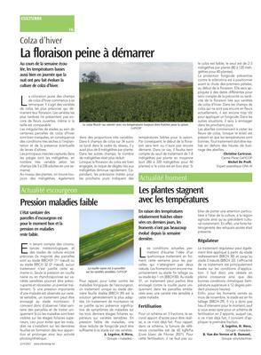 Les plantes stagnent avec les températures Les plantes stagnent avec les températures