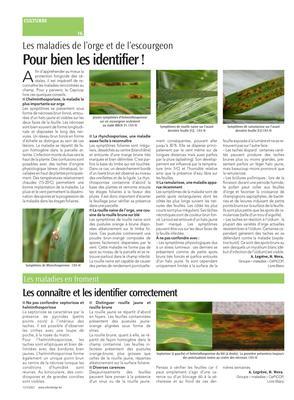 Pour bien les identifier! Pour bien les identifier!