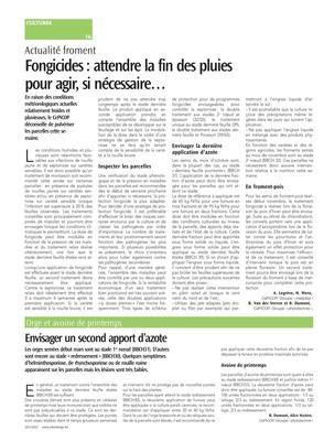 Envisager un second apport d’azote Envisager un second apport d’azote