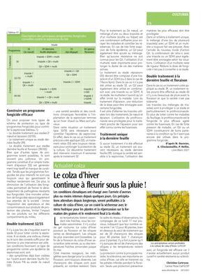 Le colza d’hiver continue à fleurir sous la pluie! Le colza d’hiver continue à fleurir sous la pluie!