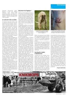 Les jeunes agneaux ont encore besoin d’attention