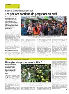 Une espèce sauvage pour sauver la filière? Une espèce sauvage pour sauver la filière?