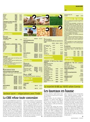 Les taureaux en hausse Les taureaux en hausse
