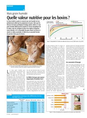 Quelle valeur nutritive pour les bovins? Quelle valeur nutritive pour les bovins?