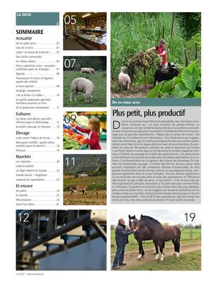 Actualité Actualité